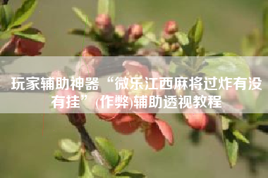 玩家辅助神器“微乐江西麻将过炸有没有挂”(作弊)辅助透视教程