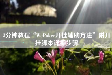 3分钟教程“WePoker开挂辅助方法	”附开挂脚本详细步骤