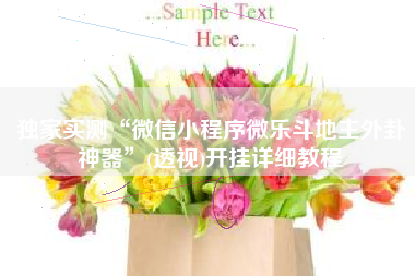 独家实测“微信小程序微乐斗地主外卦神器”(透视)开挂详细教程