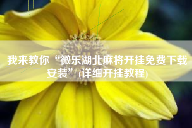 我来教你“微乐湖北麻将开挂免费下载安装”(详细开挂教程)