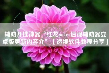 辅助开挂神器“红龙poker透视辅助器安卓版更新内容介”【透视软件教程分享】