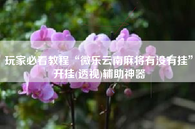 玩家必看教程“微乐云南麻将有没有挂”开挂(透视)辅助神器