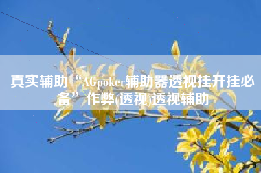 真实辅助“AGpoker辅助器透视挂开挂必备	”作弊(透视)透视辅助