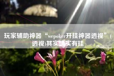 玩家辅助神器“wepoker开挂神器透视”(透视)其实确实有挂