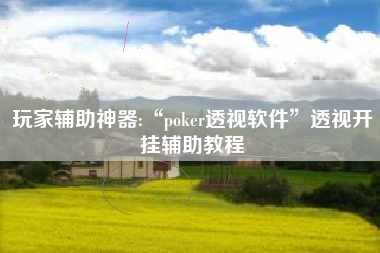 玩家辅助神器:“poker透视软件	”透视开挂辅助教程