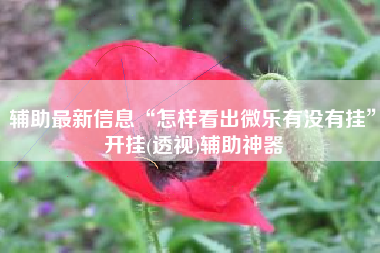 辅助最新信息“怎样看出微乐有没有挂	”开挂(透视)辅助神器