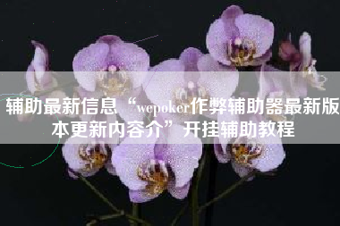 辅助最新信息“wepoker作弊辅助器最新版本更新内容介	”开挂辅助教程