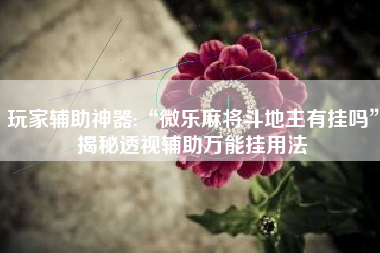 玩家辅助神器:“微乐麻将斗地主有挂吗”揭秘透视辅助万能挂用法