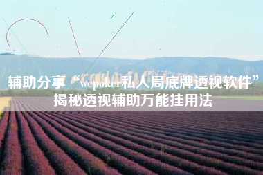 辅助分享“wepoker私人局底牌透视软件”揭秘透视辅助万能挂用法