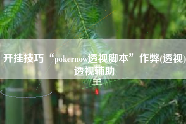 开挂技巧“pokernow透视脚本”作弊(透视)透视辅助