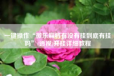 一键操作“微乐麻将有没有挂到底有挂吗”(透视)开挂详细教程