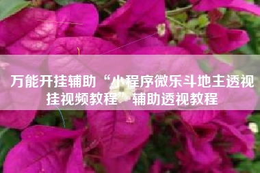 万能开挂辅助“小程序微乐斗地主透视挂视频教程	”辅助透视教程