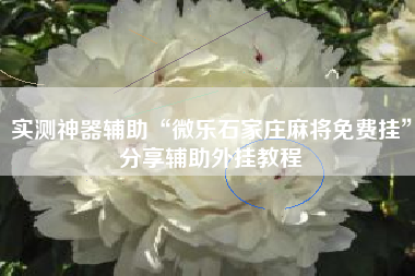 实测神器辅助“微乐石家庄麻将免费挂”分享辅助外挂教程