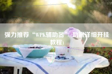 强力推荐“WPK辅助器	”(助赢详细开挂教程)