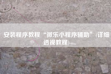 安装程序教程“微乐小程序辅助”(详细透视教程)
