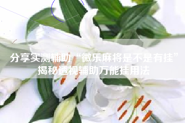 分享实测辅助“微乐麻将是不是有挂”揭秘透视辅助万能挂用法