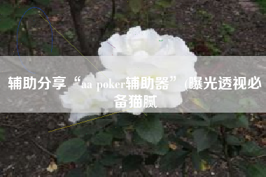 辅助分享“aa poker辅助器”(曝光透视必备猫腻