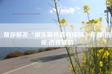 帮你解答“微乐麻将真有挂吗”作弊(透视)透视辅助