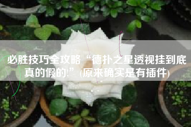 必胜技巧全攻略“德扑之星透视挂到底真的假的!”(原来确实是有插件)