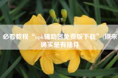 必看教程“wpk辅助器免费版下载	”(原来确实是有插件