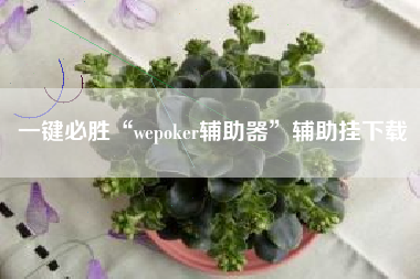 一键必胜“wepoker辅助器”辅助挂下载