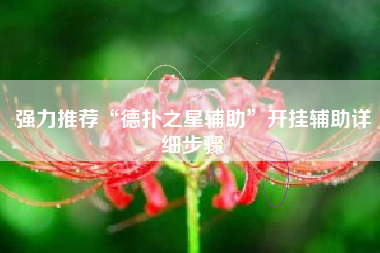 强力推荐“德扑之星辅助”开挂辅助详细步骤