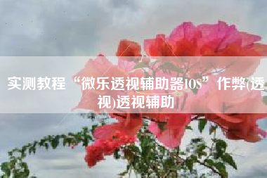 实测教程“微乐透视辅助器IOS	”作弊(透视)透视辅助