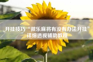 开挂技巧“微乐麻将有没有办法开挂”详细透视辅助教程