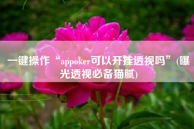 一键操作“appoker可以开挂透视吗”(曝光透视必备猫腻)