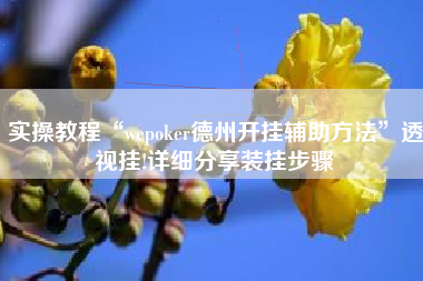 实操教程“wepoker德州开挂辅助方法”透视挂!详细分享装挂步骤