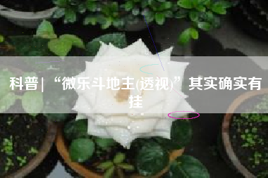 科普|“微乐斗地主(透视)”其实确实有挂