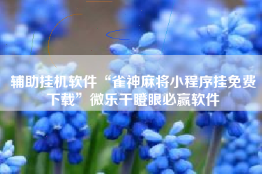 辅助挂机软件“雀神麻将小程序挂免费下载”微乐干瞪眼必赢软件