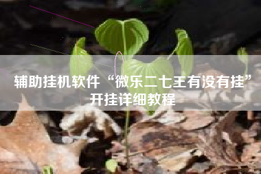 辅助挂机软件“微乐二七王有没有挂”开挂详细教程