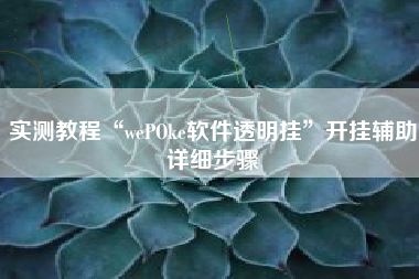 实测教程“wePOke软件透明挂”开挂辅助详细步骤