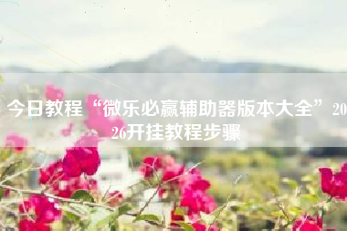 今日教程“微乐必赢辅助器版本大全”2026开挂教程步骤