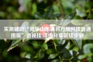 实测辅助“微乐山东麻将万能开挂器通用版”透视挂!详细分享装挂步骤