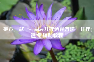 推荐一款“wepoker开挂透视方法”开挂(透视)辅助教程!