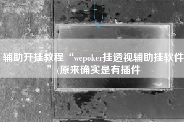 辅助开挂教程“wepoker挂透视辅助挂软件”(原来确实是有插件