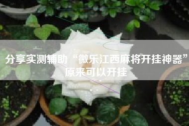 分享实测辅助“微乐江西麻将开挂神器”原来可以开挂