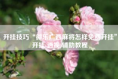 开挂技巧“微乐广西麻将怎样免费开挂”开挂(透视)辅助教程