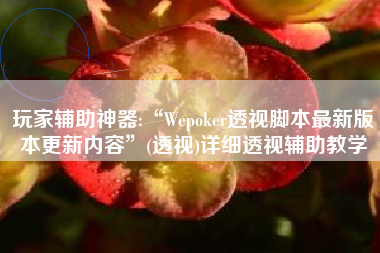 玩家辅助神器:“Wepoker透视脚本最新版本更新内容”(透视)详细透视辅助教学