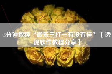 3分钟教程“微乐三打一有没有挂”【透视软件教程分享】