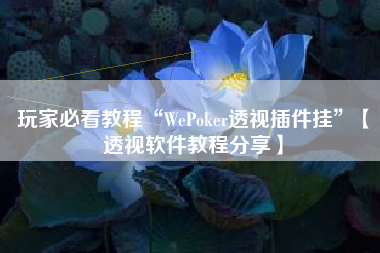 玩家必看教程“WePoker透视插件挂”【透视软件教程分享】