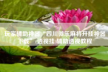 玩家辅助神器“四川微乐麻将开挂神器下载	”(透视挂)辅助透视教程