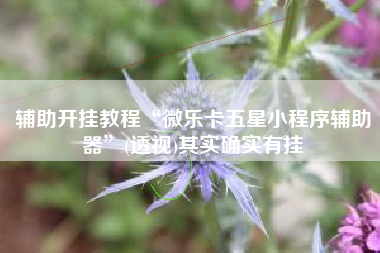 辅助开挂教程“微乐卡五星小程序辅助器”(透视)其实确实有挂