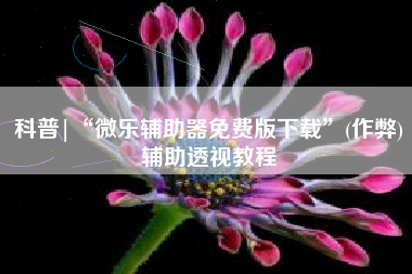 科普|“微乐辅助器免费版下载”(作弊)辅助透视教程