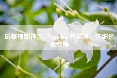 玩家辅助神器:“uupoker有挂吗”详细透视教程