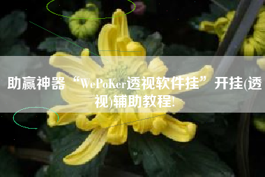 助赢神器“WePoKer透视软件挂”开挂(透视)辅助教程!