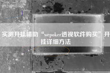 实测开挂辅助“wepoker透视软件购买	”开挂详细方法