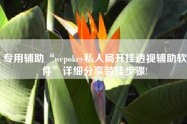 专用辅助“wepoker私人局开挂透视辅助软件”详细分享装挂步骤!